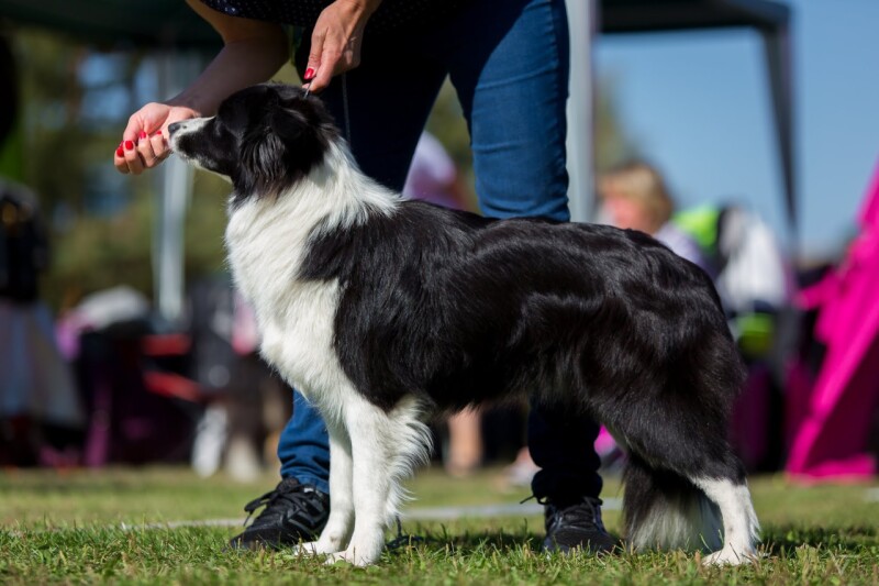 155_Amazon Flower Magic Bond_Ex1, CAC___3